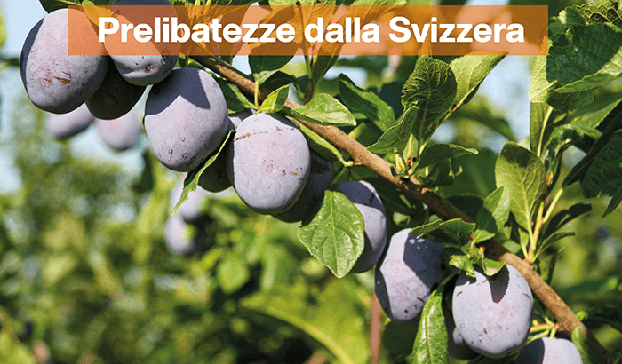 img-Prelibatezze dalla Svizzera-Sett34-1