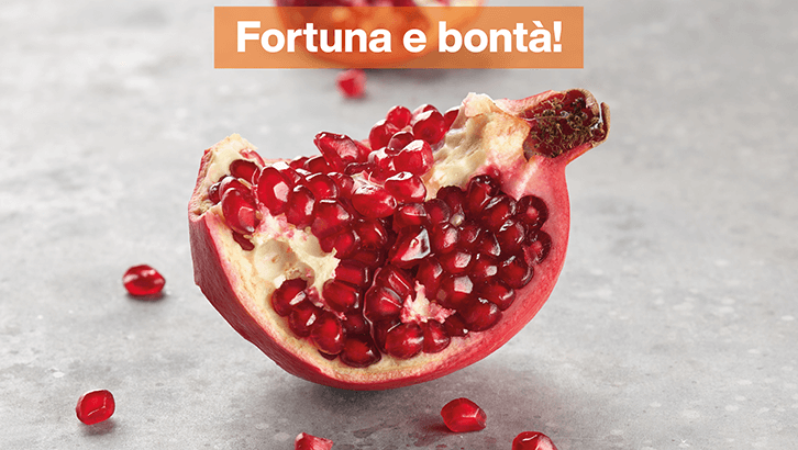 img-Fortuna e bontà!-1