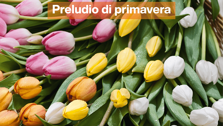 img-Preludio di primavera-sett 11-1